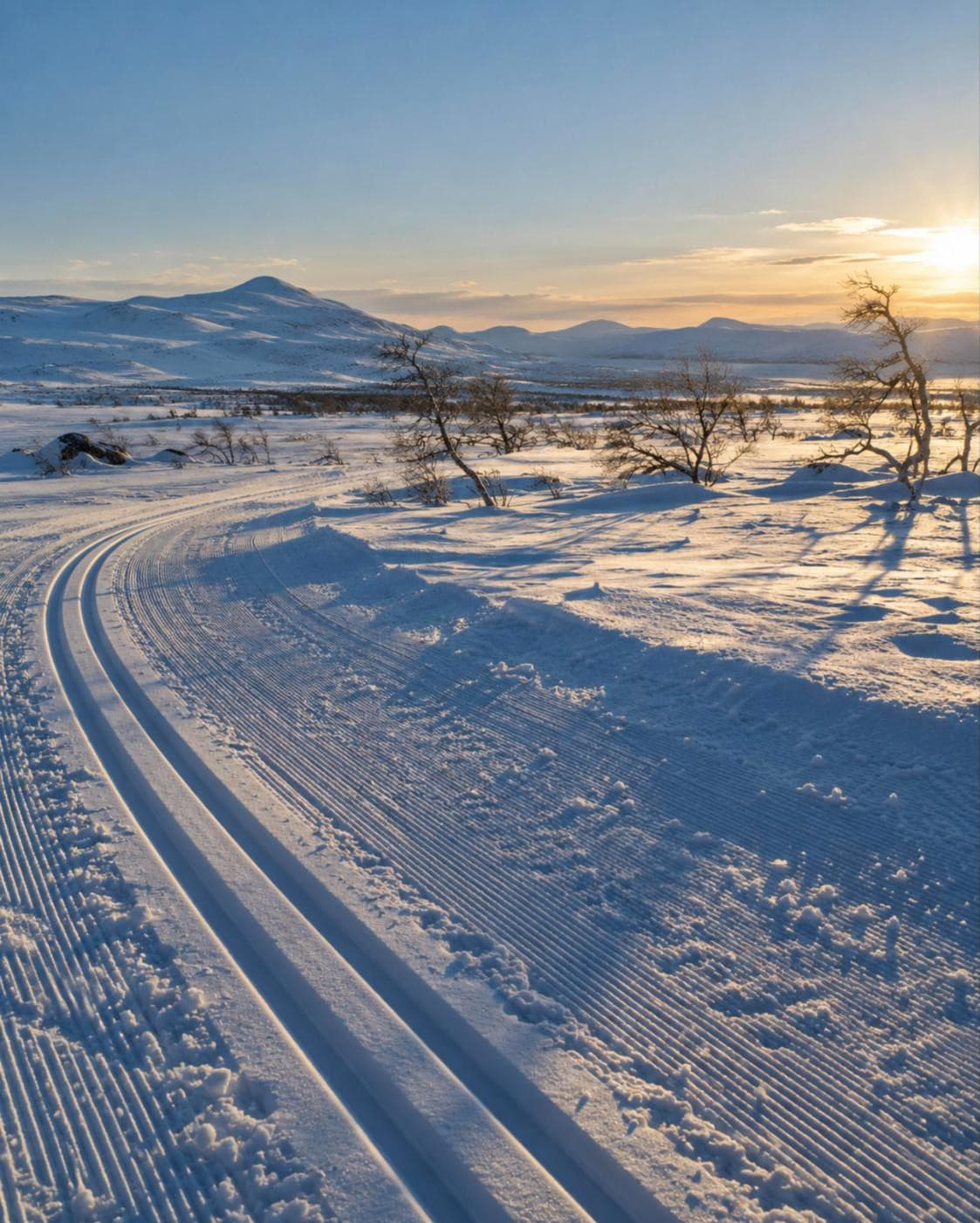 Gespurte Langlaufloipe auf einer verschneiten Hochebene bei tiefer Sonne
