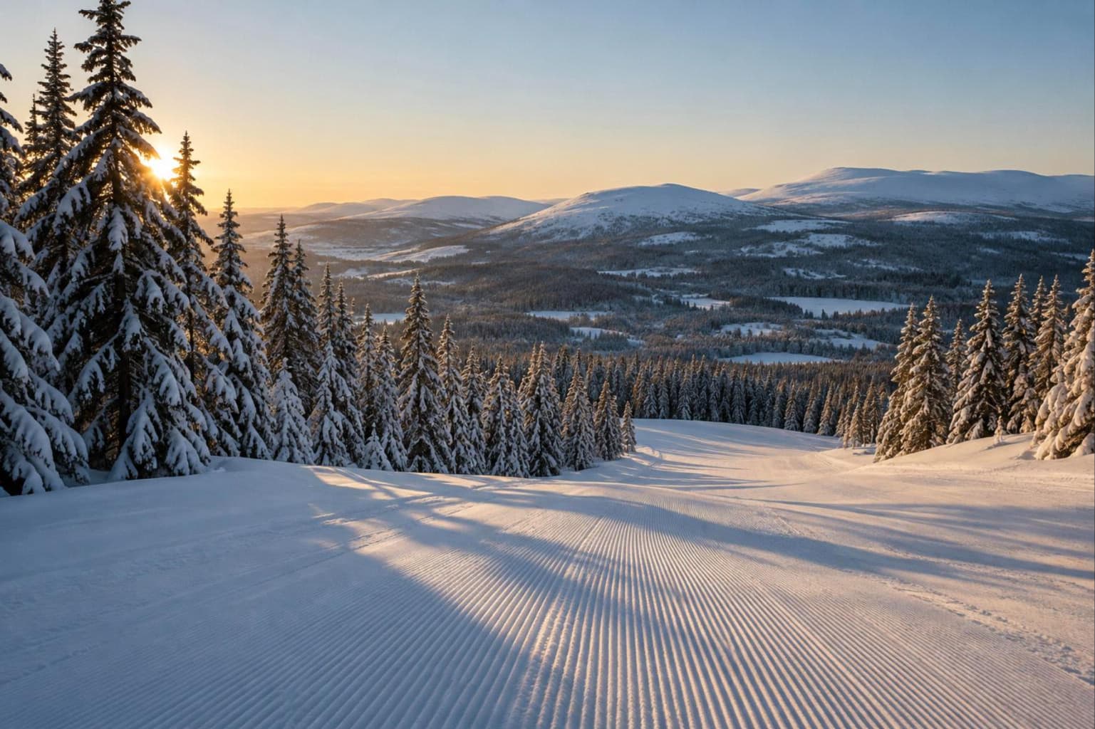Frisch präparierte Piste zwischen verschneiten Fichten im Morgenlicht