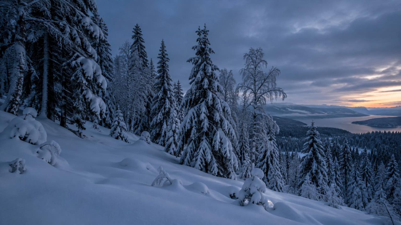 Tief verschneiter Wald im Winter